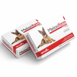 MELOXIFARM CARTUCHO 6 MG VETFARMOS